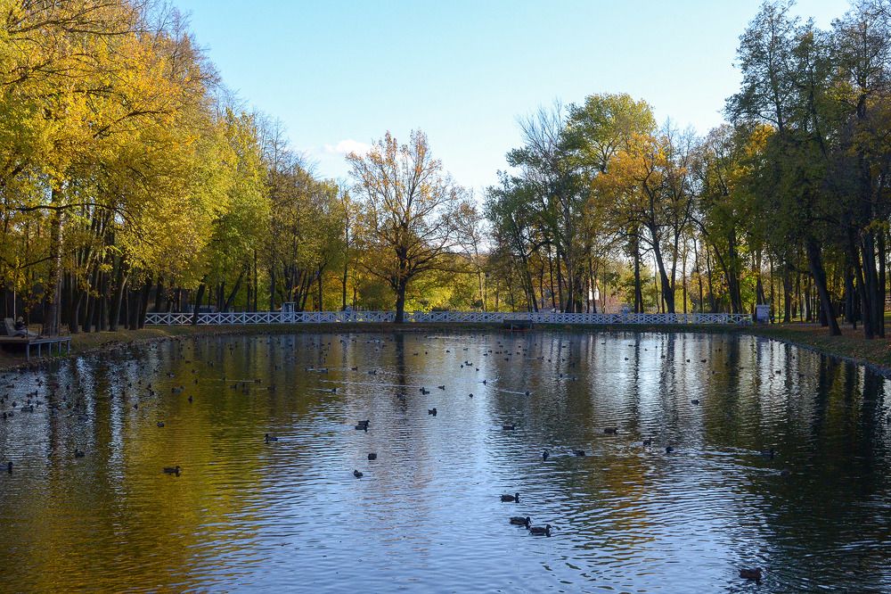 В осеннем парке