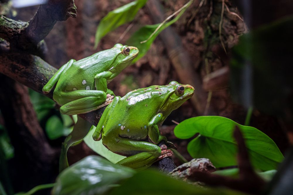 Photo 2479461