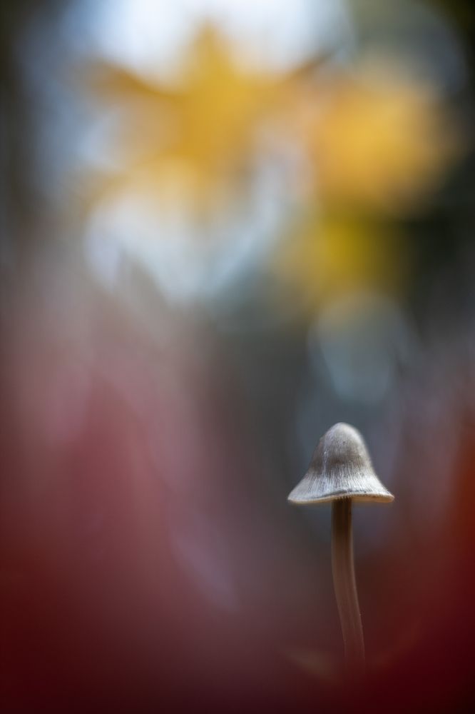 Photo 2479562