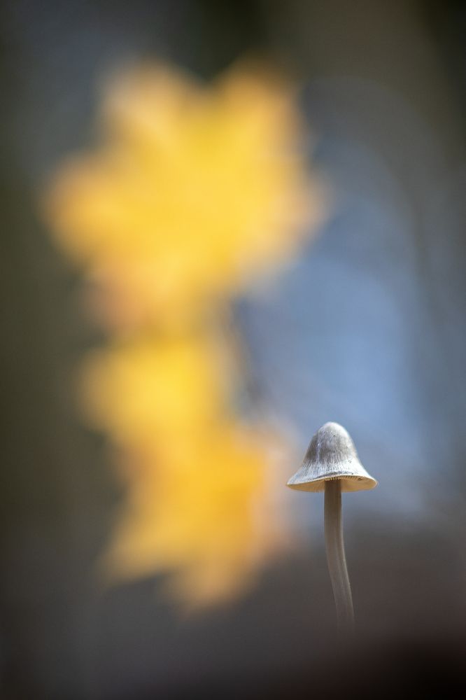 Photo 2479563