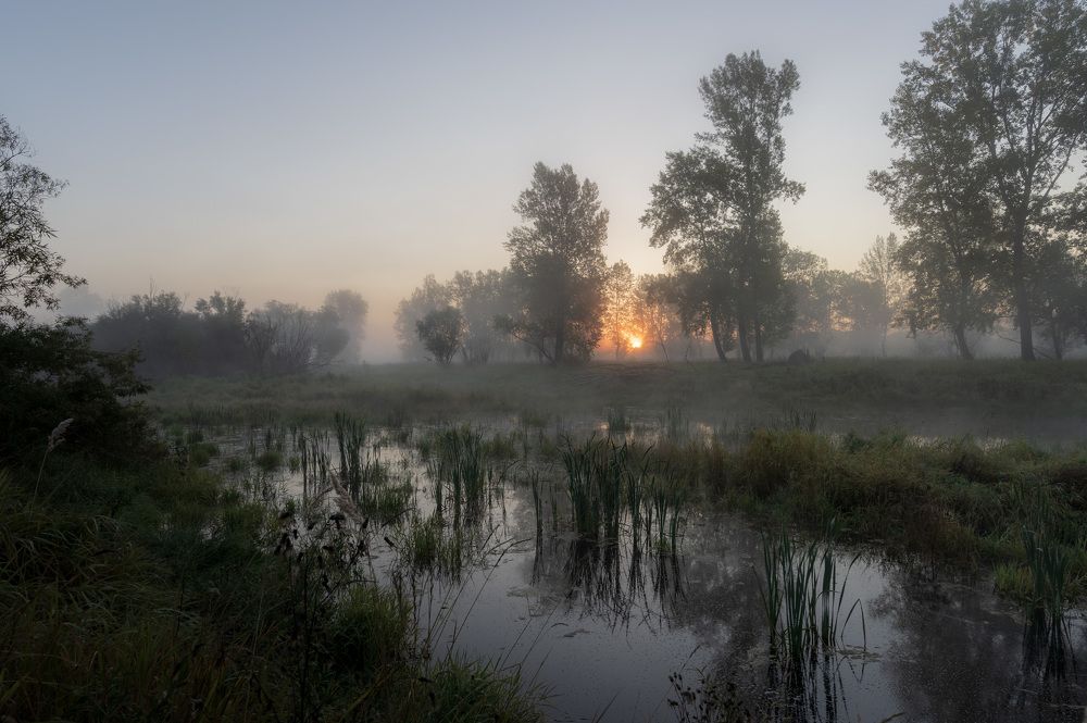 Photo 2479818