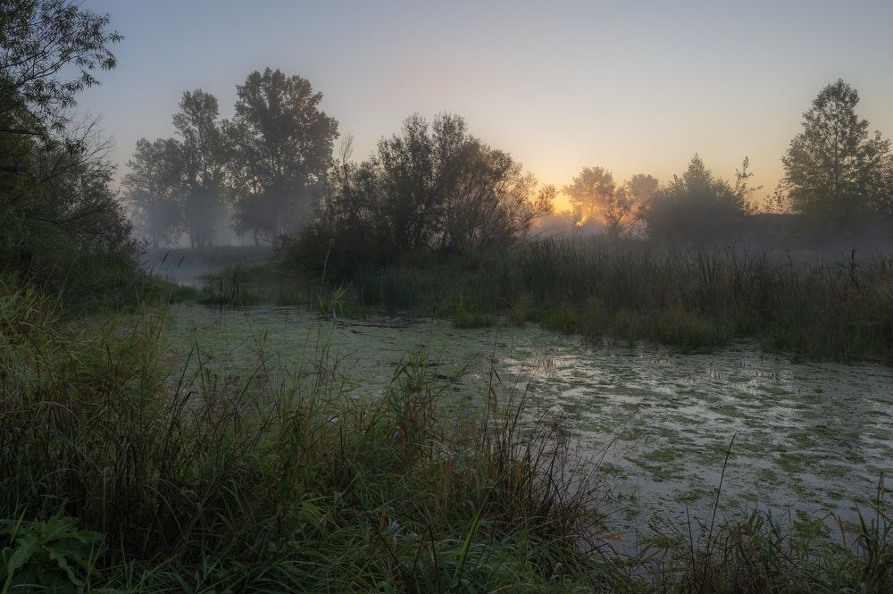 Photo 2479819