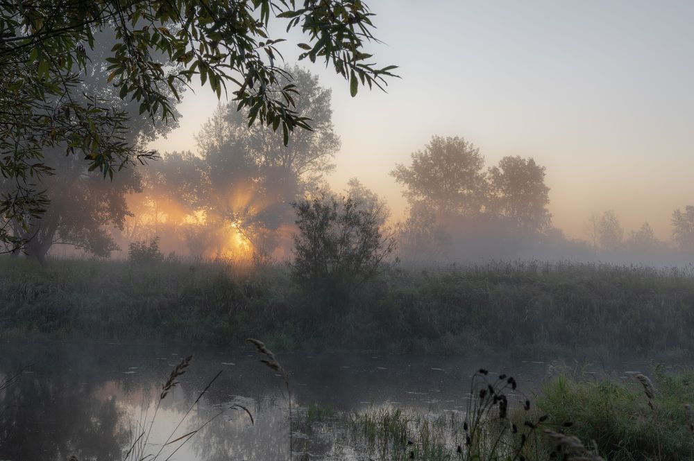 Photo 2479820