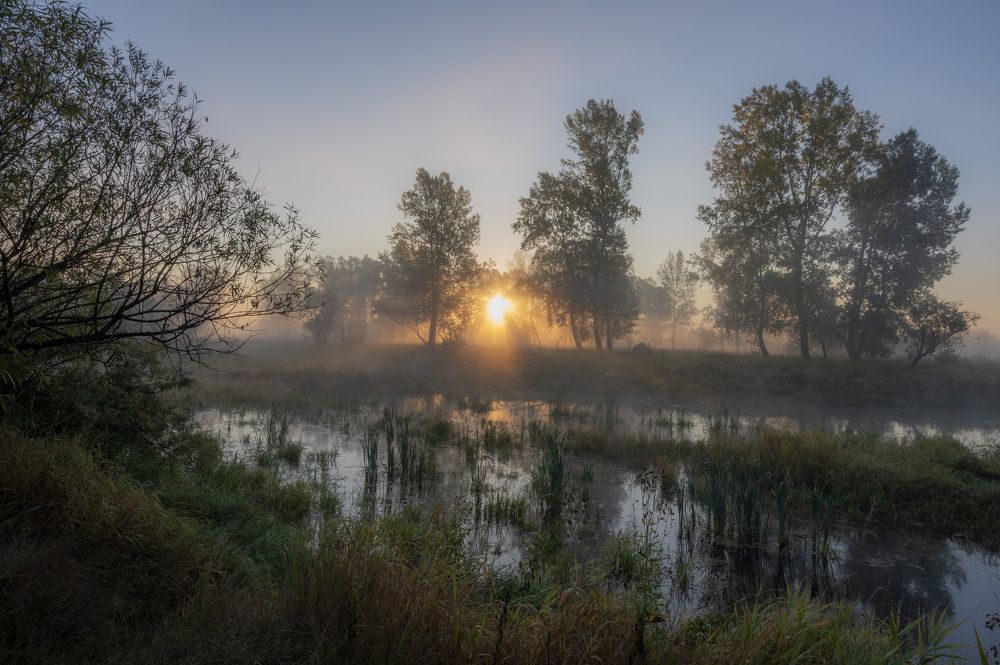 Photo 2479821