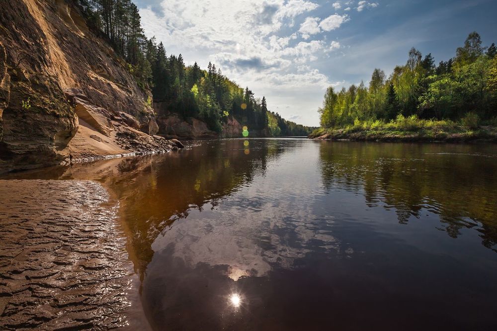 Про весеннюю зелень