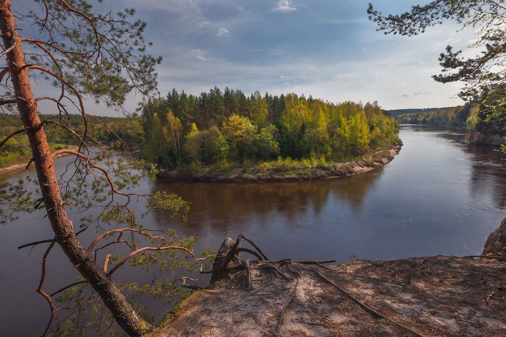 Про весеннюю зелень