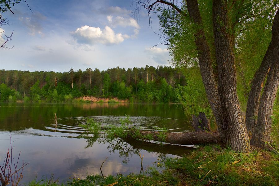 САДОВКА.