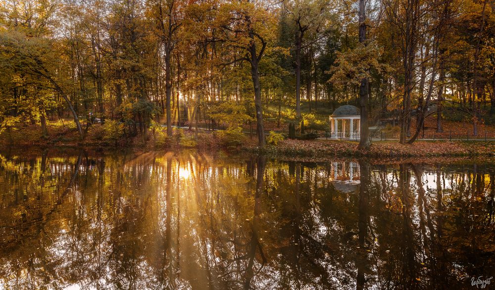 Осень в Платоновском парке, Тула.