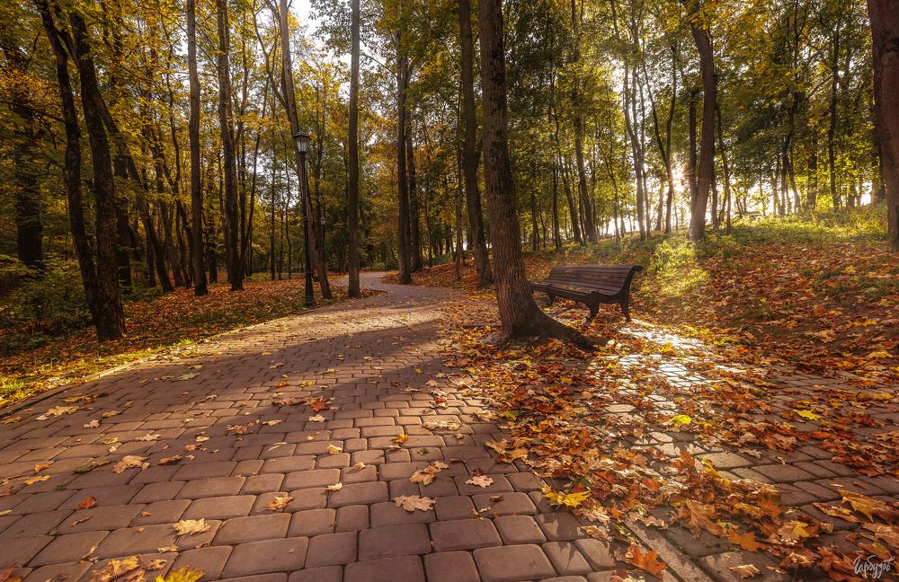 Осень в Платоновском парке, Тула.