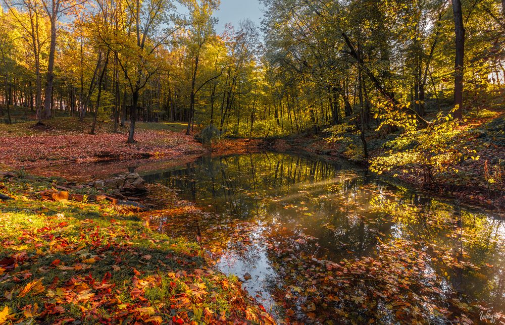 Осень в Платоновском парке, Тула.
