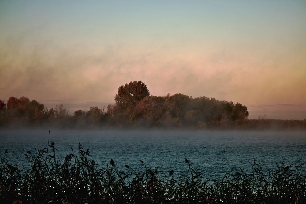 Photo 2481564