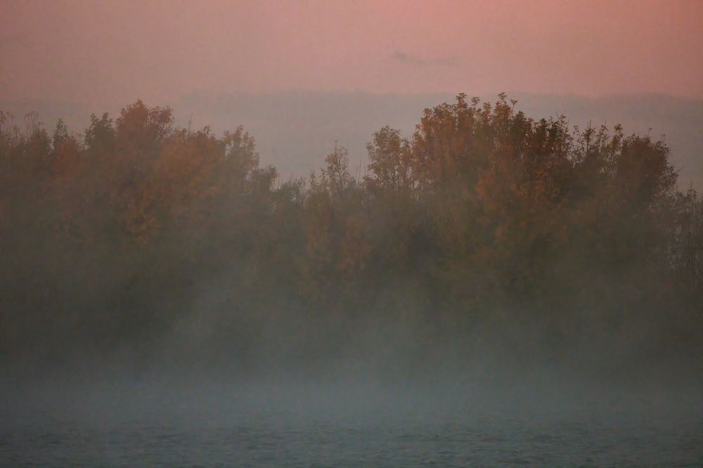 Photo 2481566