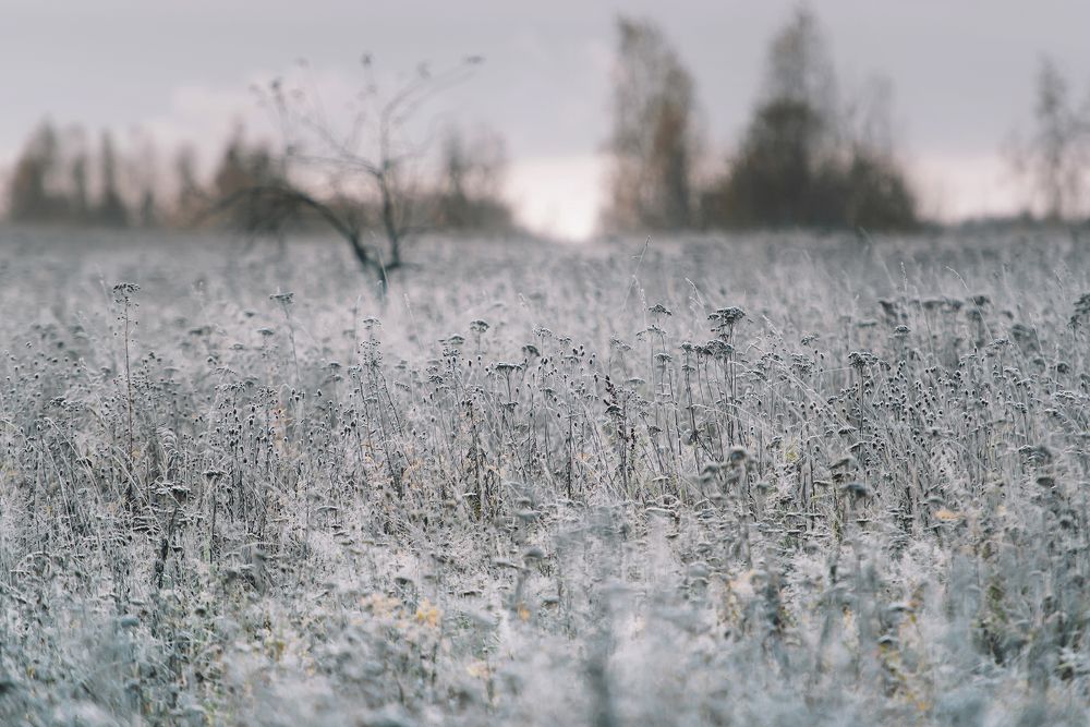 Морозное утро октября