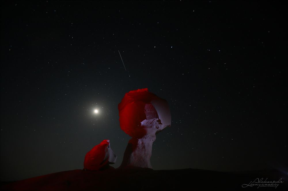 Сhicken and mushroom.