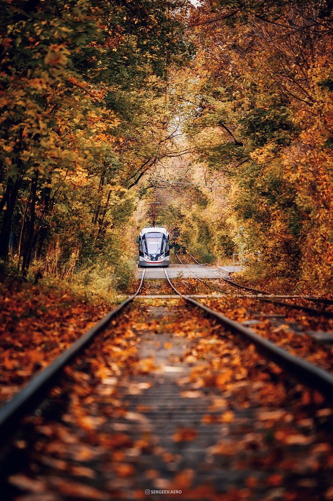 Классические осенние московские трамваи | Autumn Moscow trams