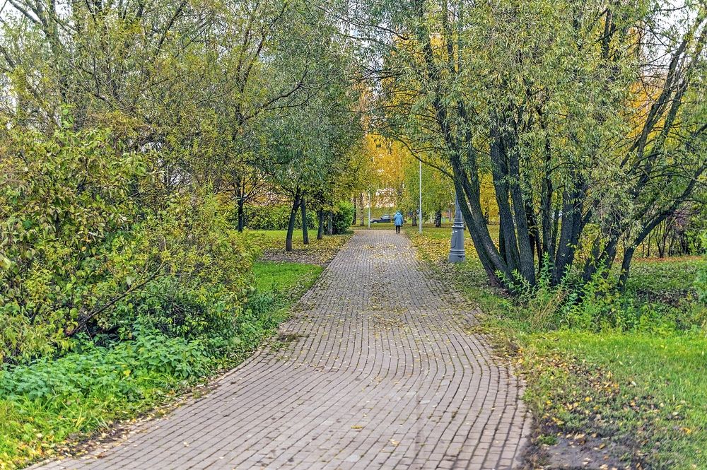 На аллеях осеннего парка