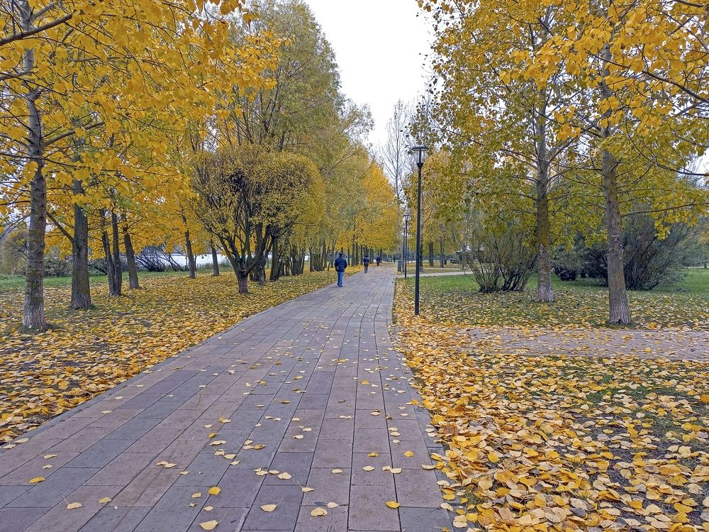 На аллеях осеннего парка