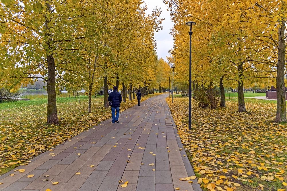 На аллеях осеннего парка