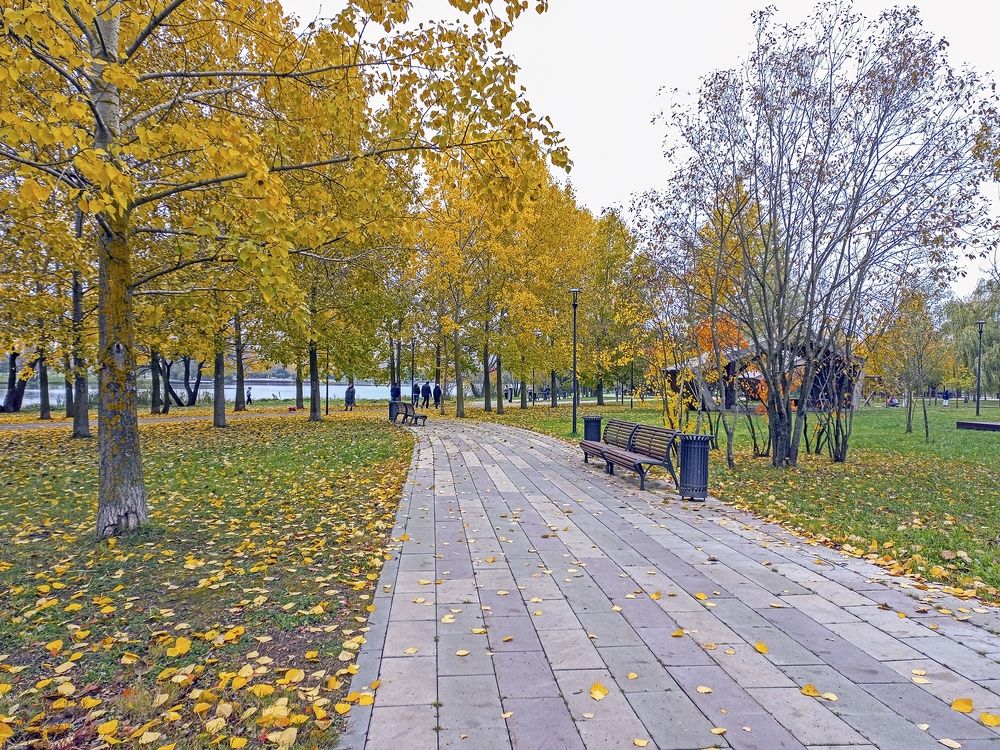 На аллеях осеннего парка