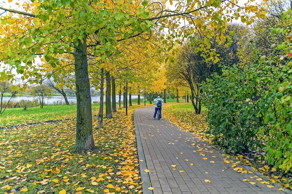 На аллеях осеннего парка