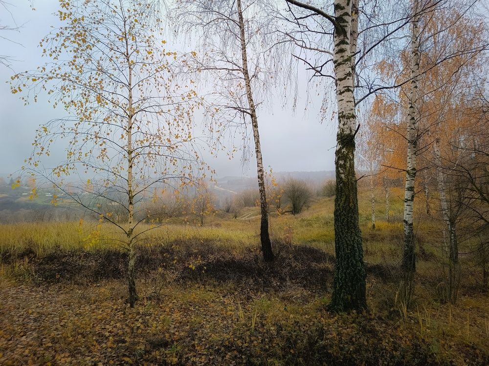 Photo 2483324