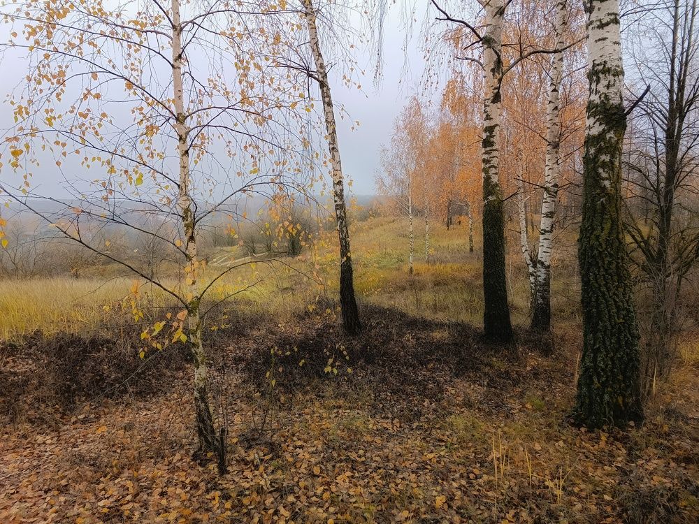 Photo 2483325