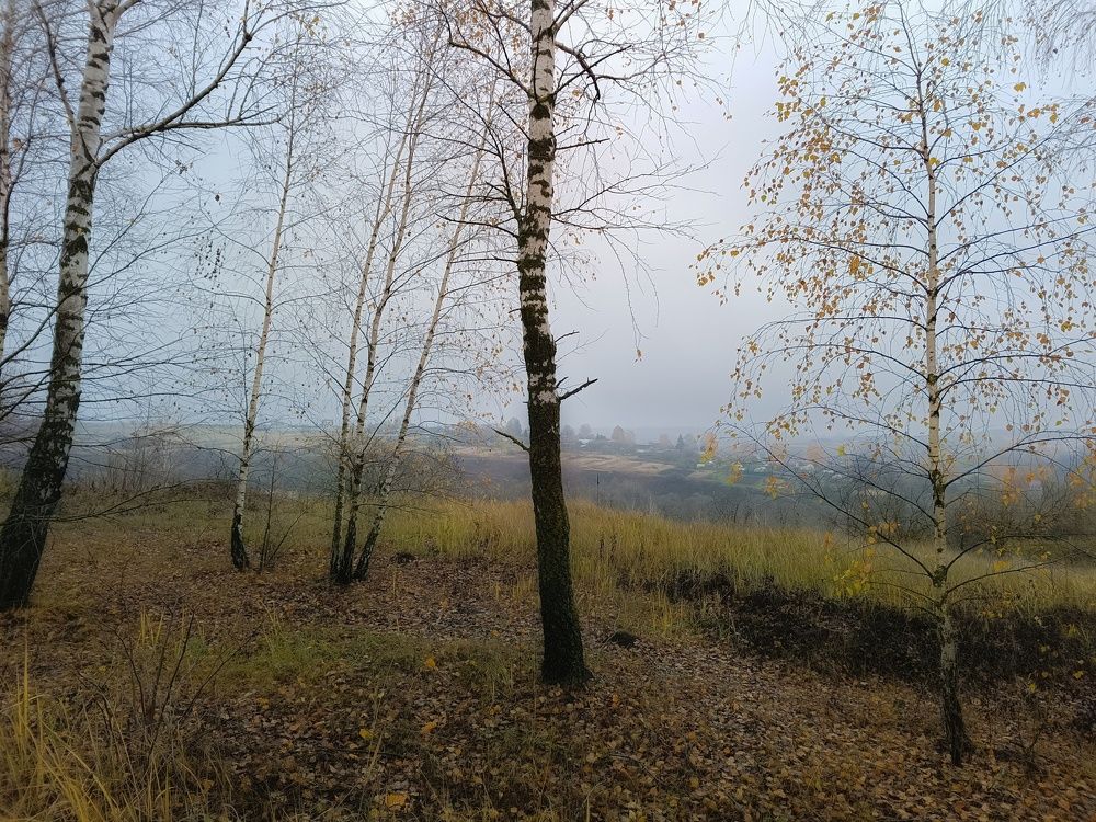 Photo 2483326