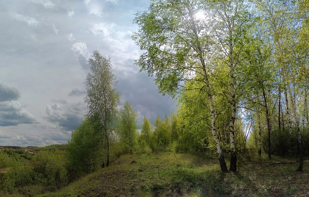 Photo 2483838