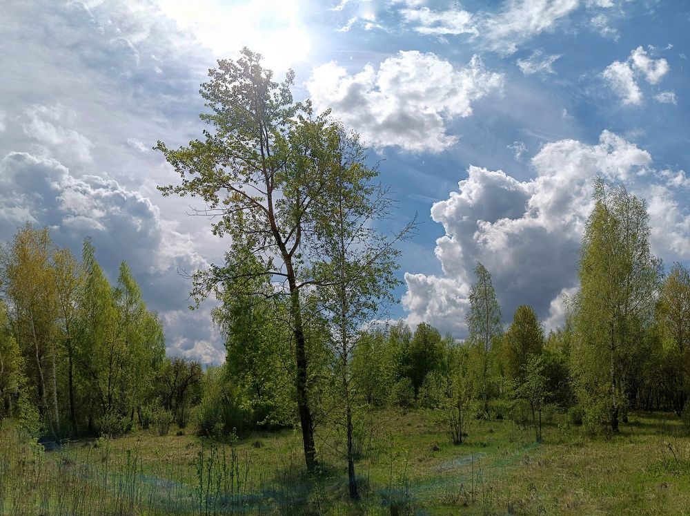 Photo 2483839