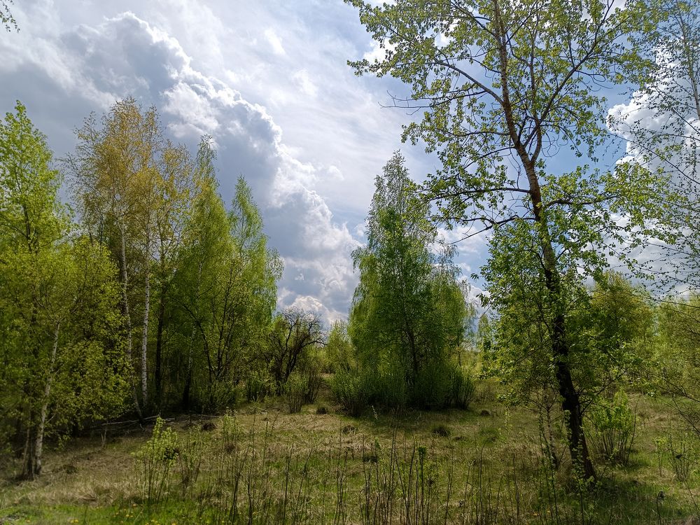 Photo 2483840