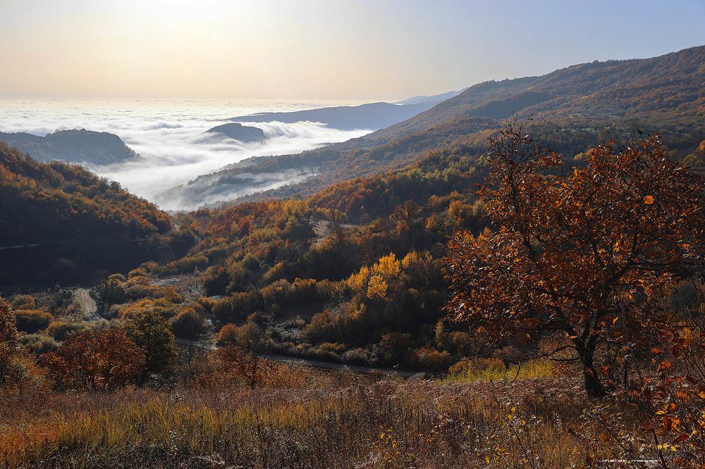 Утро осени после дождя..