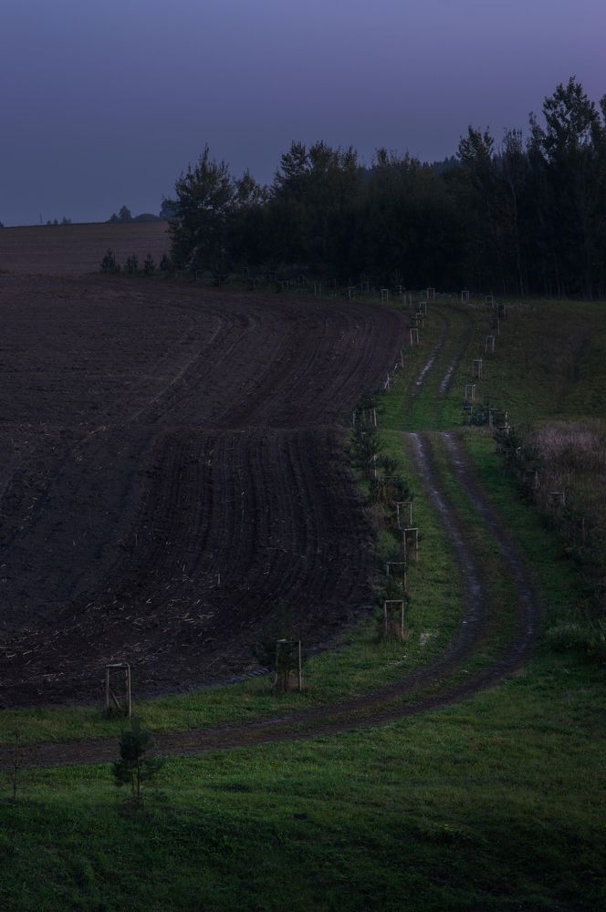 Photo 2484319