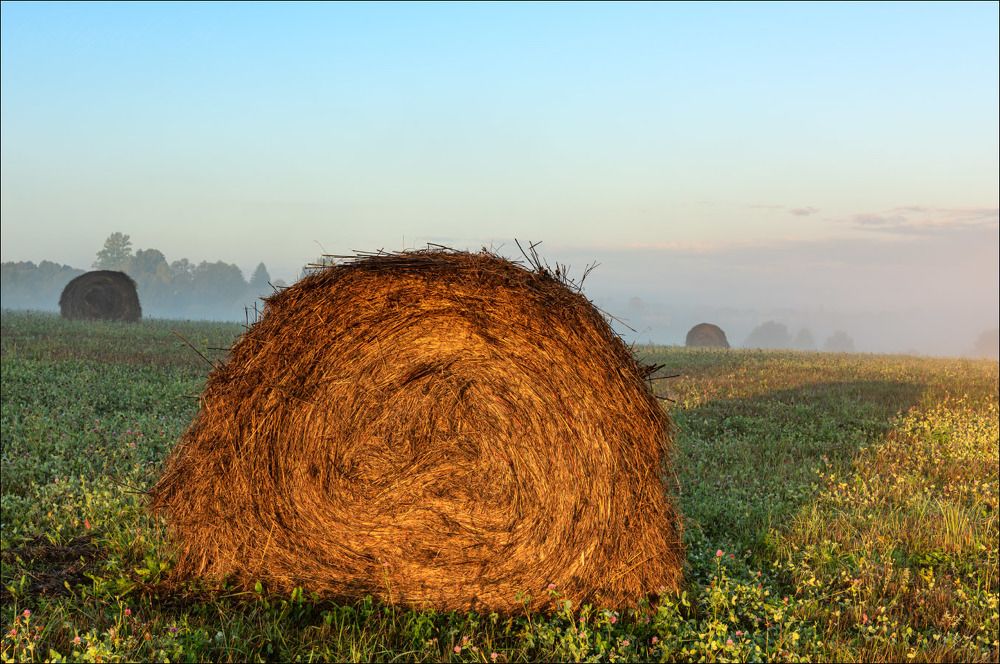 Сено в первых лучах солнца