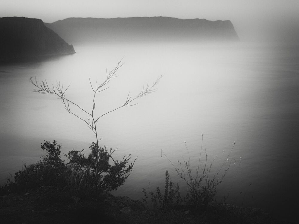 Photo 2486297