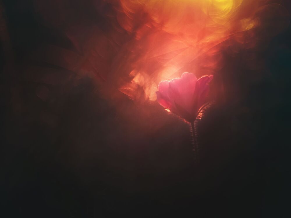 Photo 2486301