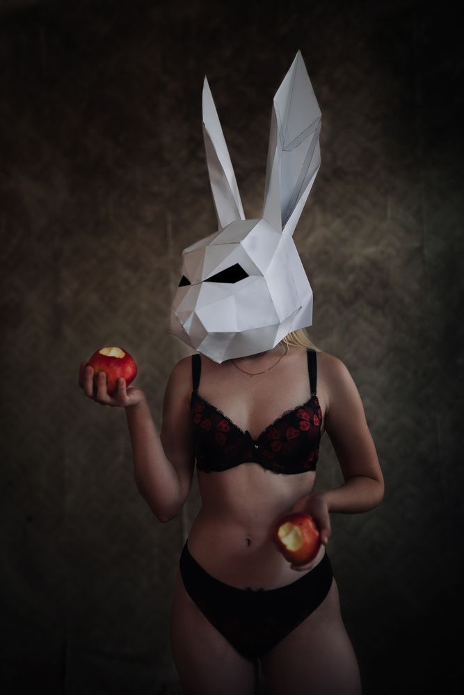 Photo 2486423