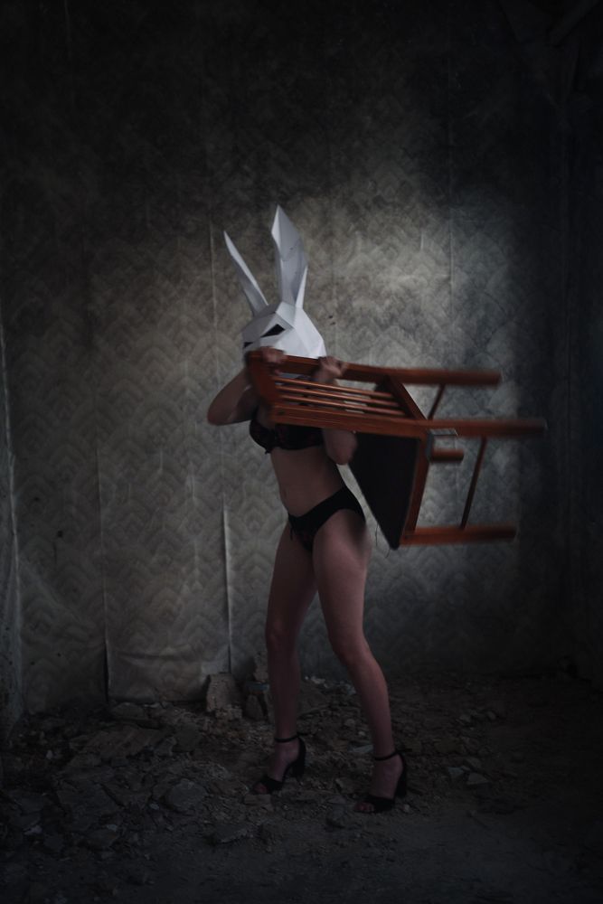 Photo 2486427