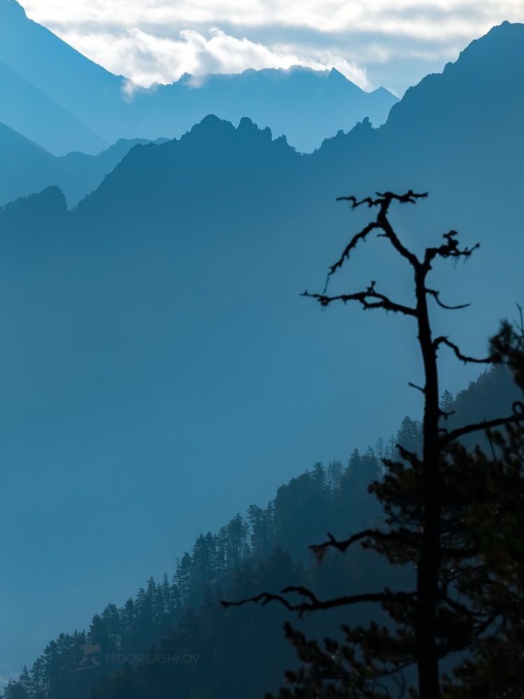 Прозрачная синева