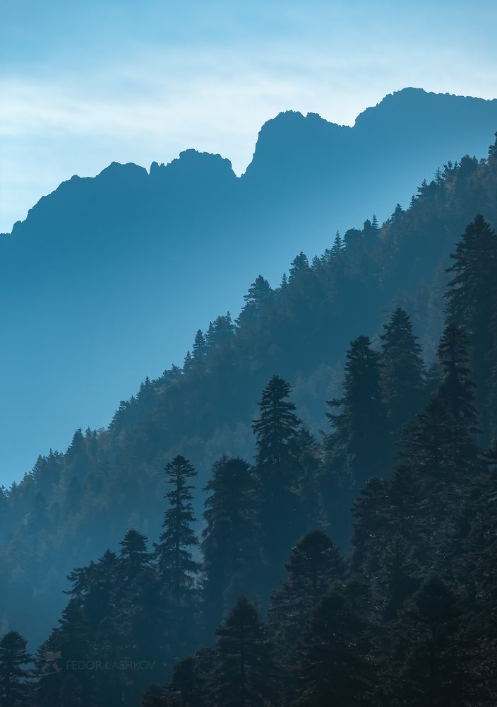 Прозрачная синева