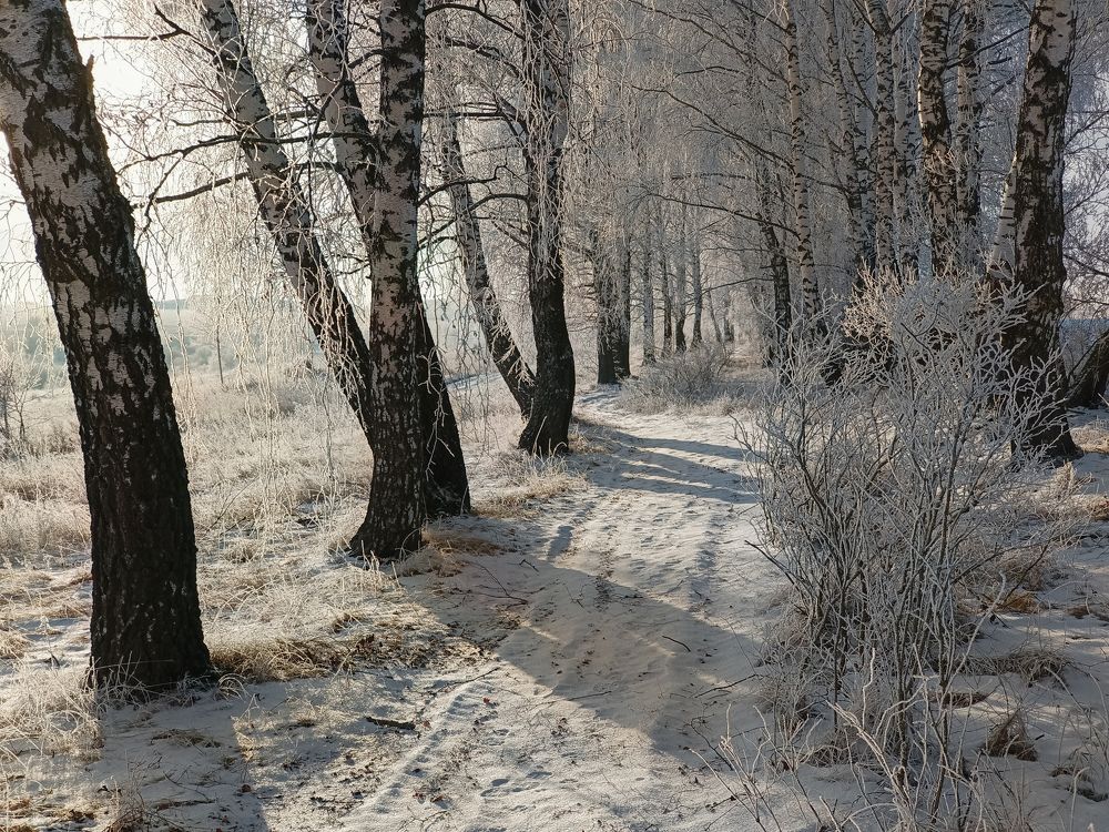 Photo 2489215