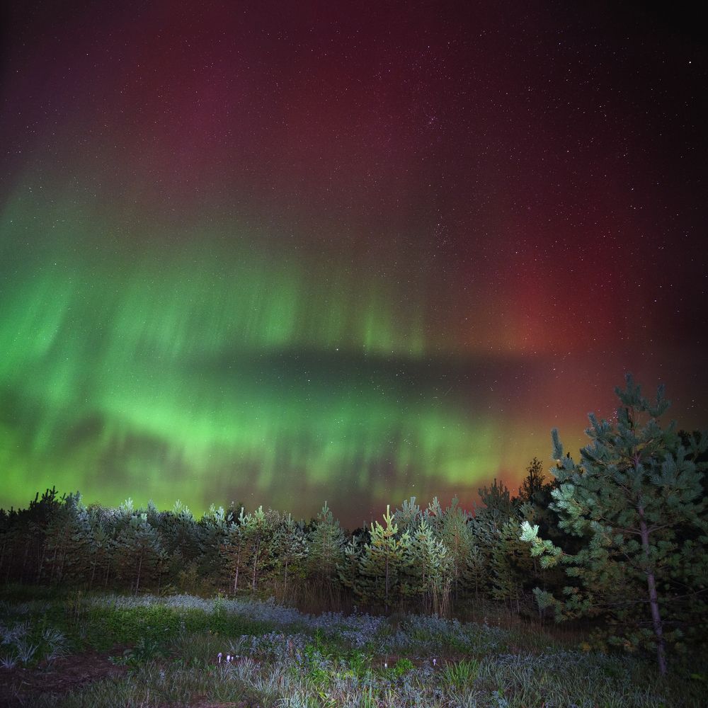 Aurora Borealis