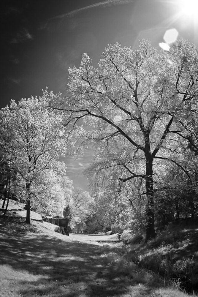 IR Tangerh&uuml;tte