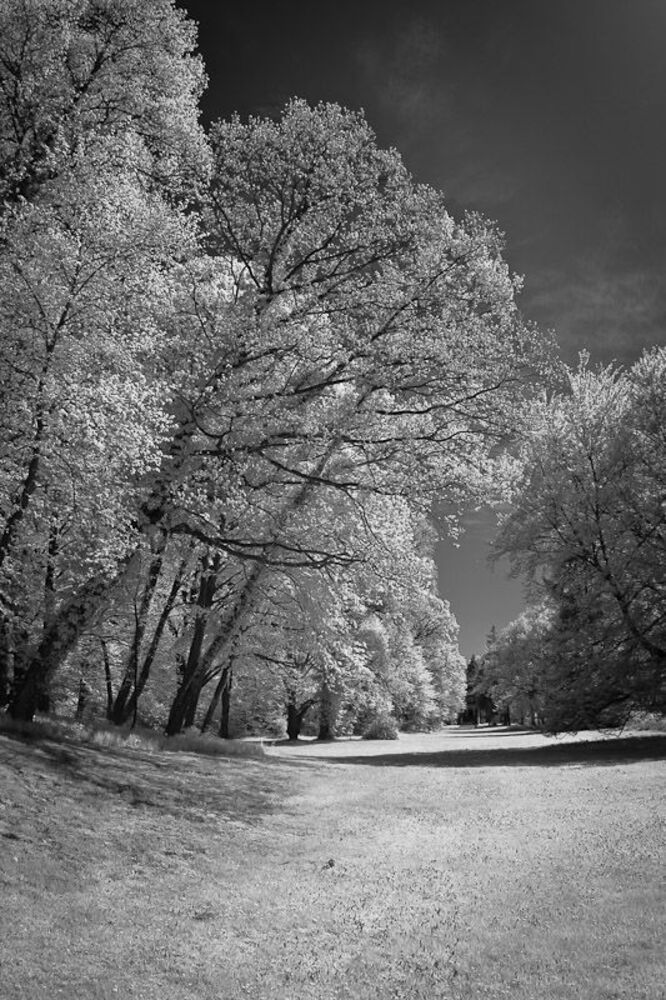IR Tangerh&uuml;tte