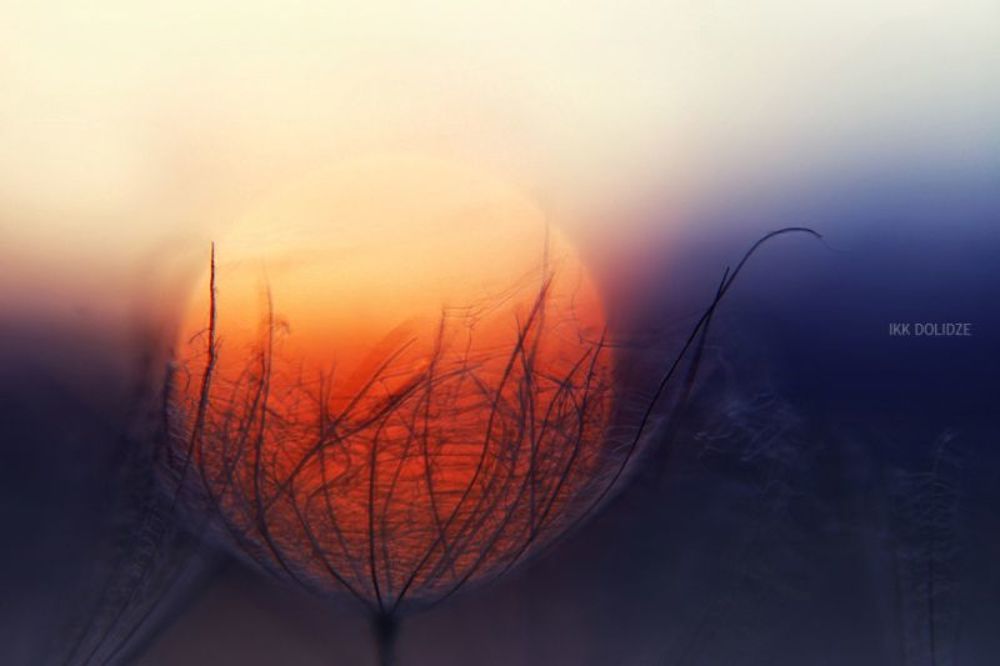 sun set