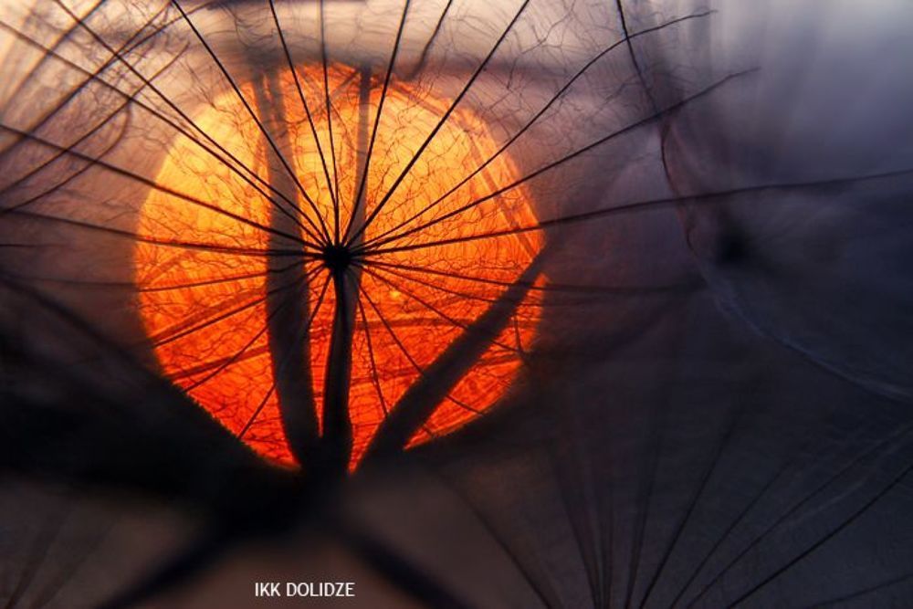 sun set