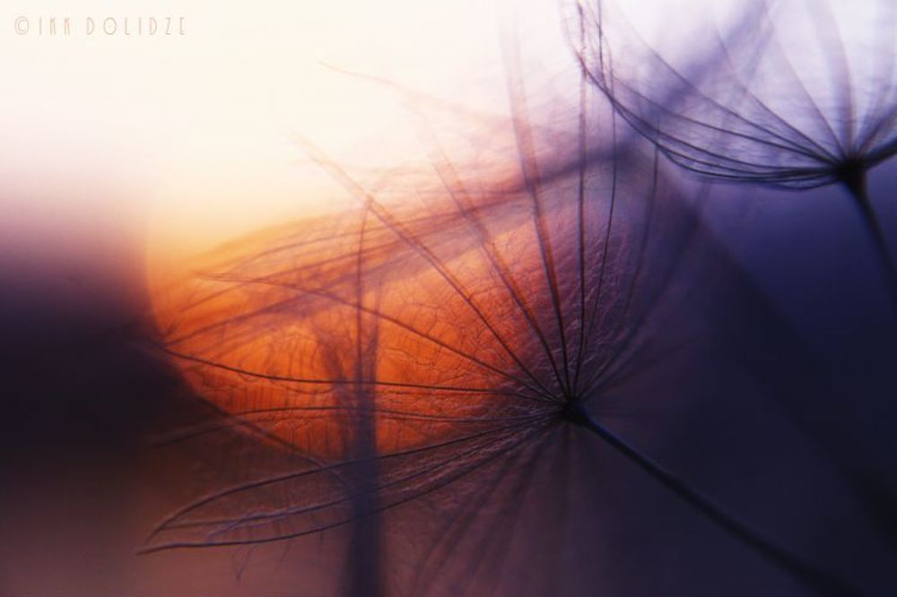 sun set