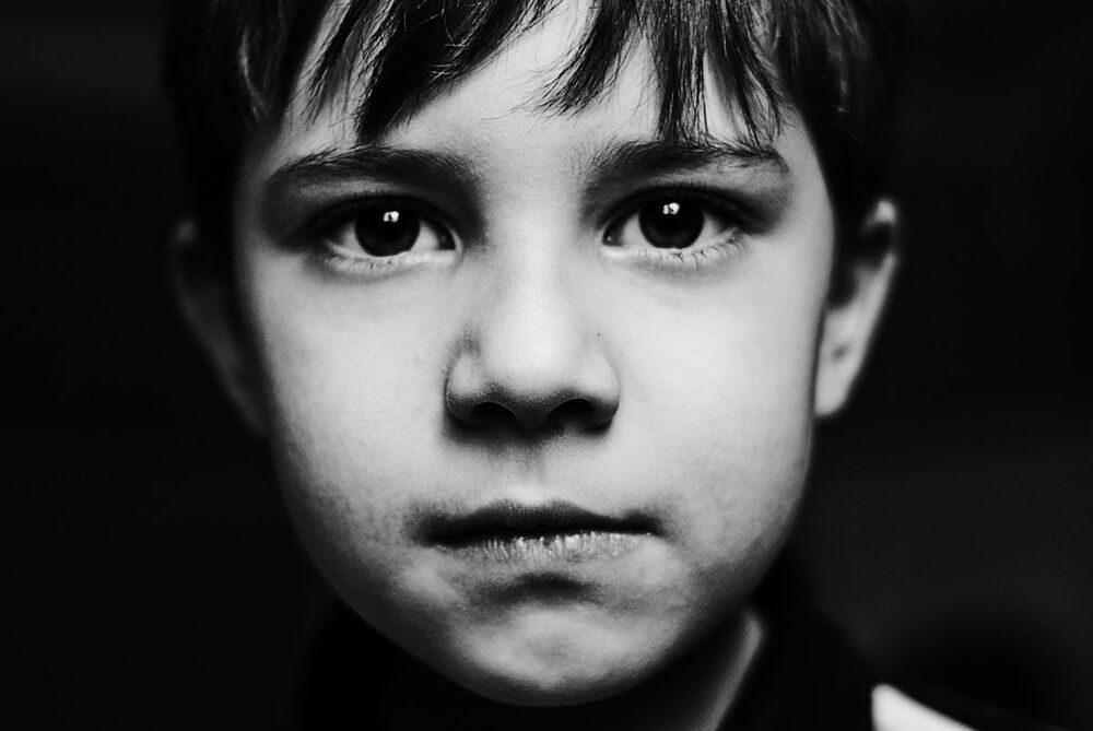 Photo 249649