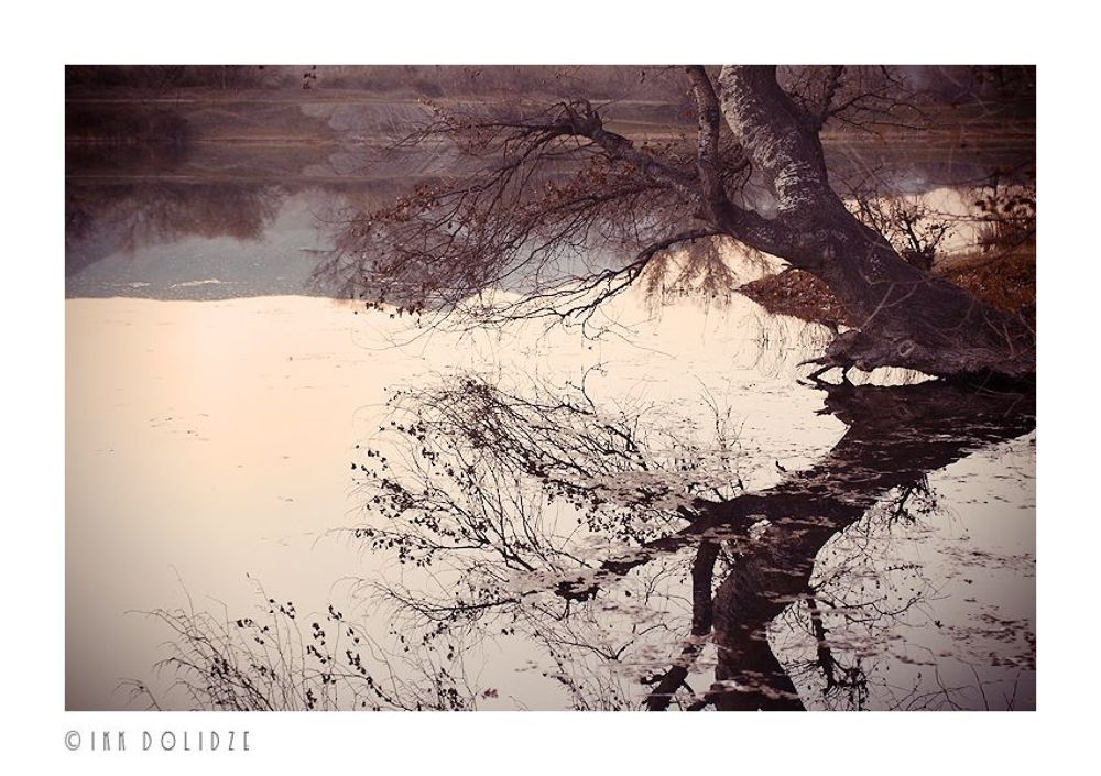 Lake story