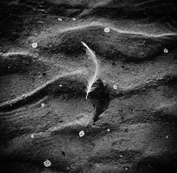 Photo 249970