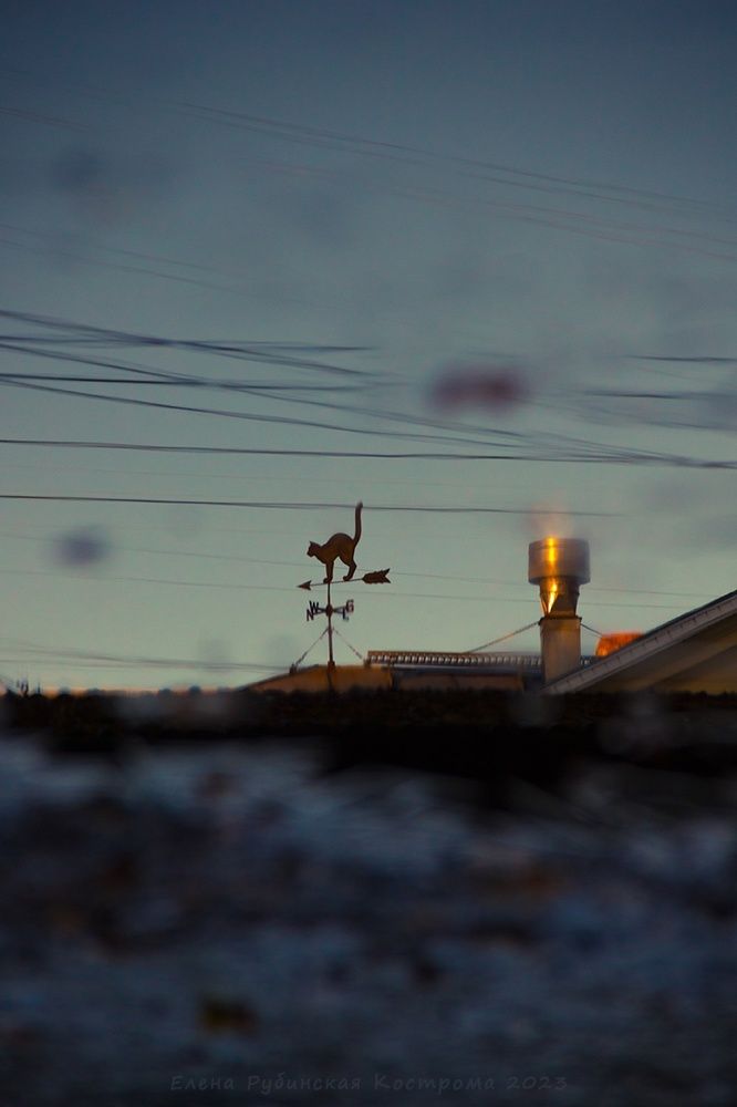 Осень в городе